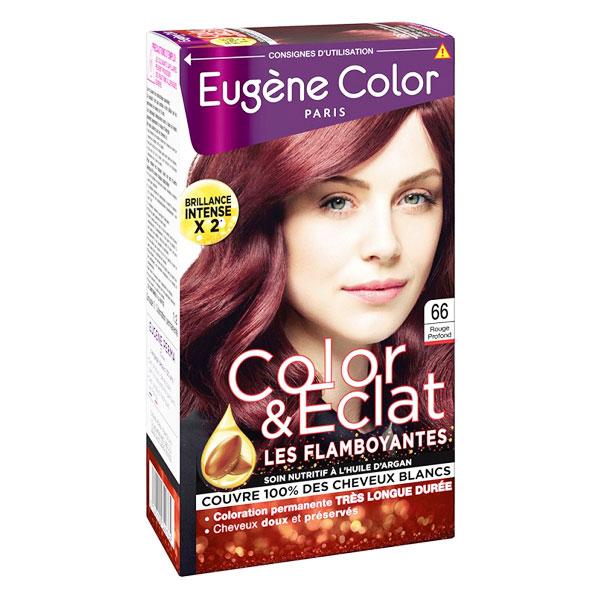 Les Flamboyantes Crème Colorante Permanente n°66 Rouge Profond