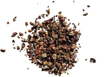 Tisane Cyprès Noix concassée Cupressus sempervirens