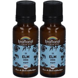 Biofloral Elm - Orme - Bio