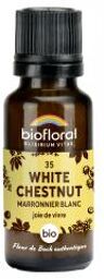 35 White Chestnut Marronnier Blanc Bio 19,5 g - Flacon 19,5 gr