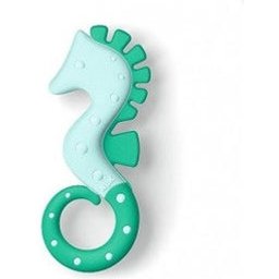 Bâton de Dentition Hippocampe