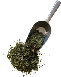 Tisane Mélisse bouquet 1 KILO Mélissa officinalis.