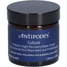 Culture Gel Crème de Nuit Réparateur aux Probiotiques