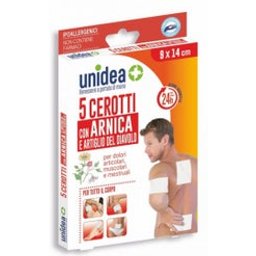 Plâtre Arnica 5 pièces