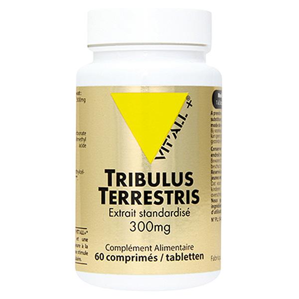 Tribulus Terrestris 300mg 60 comprimés