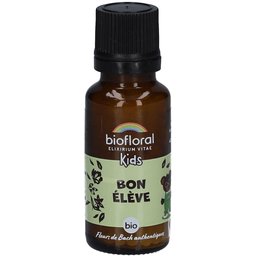 Kids Bon Elève