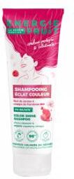 Énergie Fruit Shampoing Protection Couleur Vinaigre de Framboise Bio Cheveux Colorés et Méchés 250 ml - Tube 250 ml