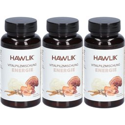 Vitalpilzmischung Énergie avec calcium et champignons bio