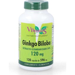 Ginkgo Biloba 120mg 120caps