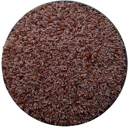 Tisane Ispaghul (Psyllium Rose) semence 250 GRS Plantago ovata