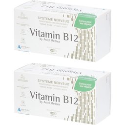 Systeme Nerveux Vitamine B12