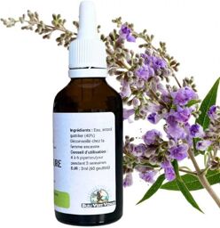 Alcoolature de Gattilier - Vitex agnus-castus - Flacon de 50ml