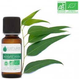 Huile Essentielle D'Eucalyptus Citronné Bio 20ml