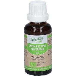 - Sapin Pectiné Bio - Complément Alimentaire - Extrait De Bourgeon Frais - Pour Santé osseuse - - 30 ml