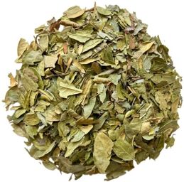 Tisane Boldo feuille Peumus boldus.