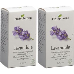 Lavendula