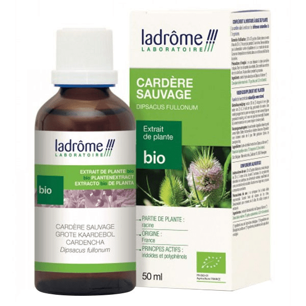 Extraits de Plantes Fraîches Cardère Sauvage Bio 50ml