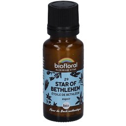 Biofloral 29 Star Of Bethlehem - Etoile de Bethléem