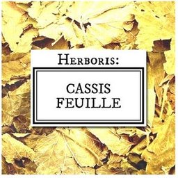 Cassis Feuilles Sachet Cellophan 100g