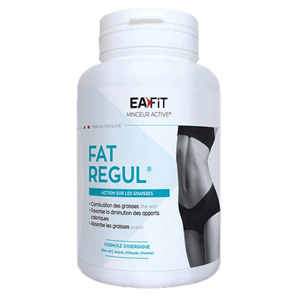 Fat Regul Minceur Active 90 comprimés