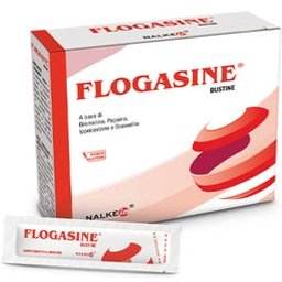 Nalkein Flogasine 20 Bust.1 5G