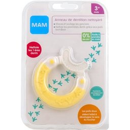 Anneau Dentition Nettoyant