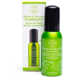Brume Purifiant Bio 30ml