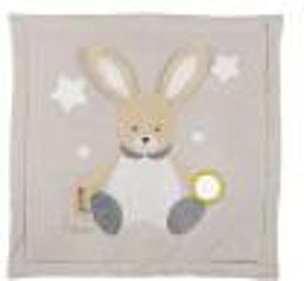 Tapis d'Éveil Lapin - Boîte 1 tapis d'éveil