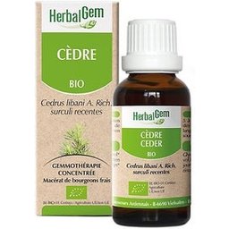 Cèdre Bio 30ml