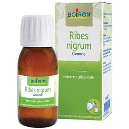 Ribes Nigrum Biloba 60ml
