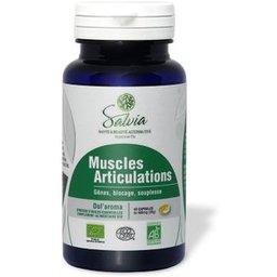 Dol'Aroma Muscles Articulations Bio 40 Capsules