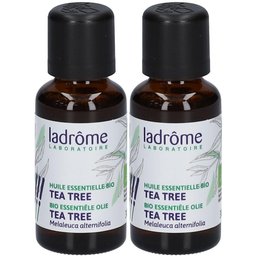 Huile essentielle Tea Tree Bio