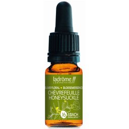 Chèvrefeuille N°16