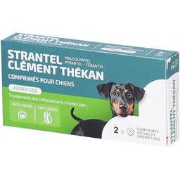 Clement Thekan Vermifuges Vers Plats Et Ronds Chien 2 Comprimés