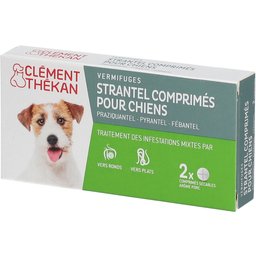 Clement Thekan Vermifuges Vers Plats Et Ronds Chien 2 Comprimés