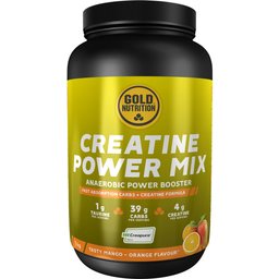 Créatine Power Mix Orange/Mangue 1 kg