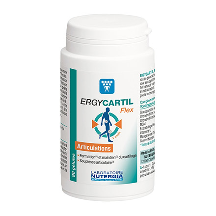 Ergy cartil flex 90 gélules