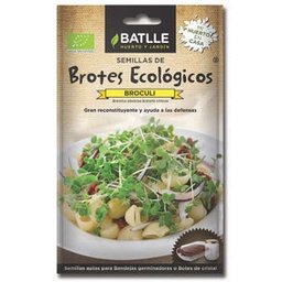 Graines Pousses Brocoli 6g