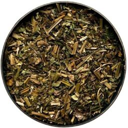 Tisane Chélidoine plante Chelidonium majus