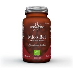 Hyphae Da Terra Antioxydant Mico Rei 640mg 70caps