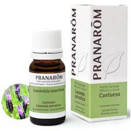 Pranarôm Huile Essentielle Lavande Vraie Bio 10ml