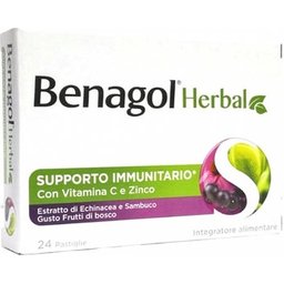 Reckitt Benckiser Herbal Fruits Sauvages 24 Pastilles