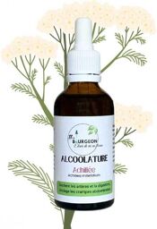 Alcoolature d'Achillée Millefeuille - Achillea millefolium - Flacon de 50ml