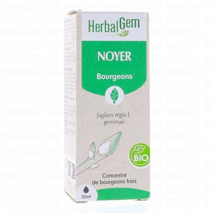 Concentré de bourgeons frais - Noyer Bio 30ml