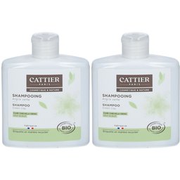 shampoing argile verte bio cuir chevelu gras