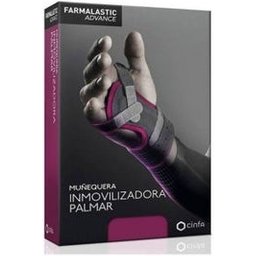 Bracelet antidémarrage Palmar Advance T- 2