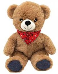 Care Peluche Chaud et Froid Ourson - Carton 1 bouillotte