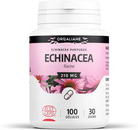 Echinacéa Ecocert 210 mg - gélules