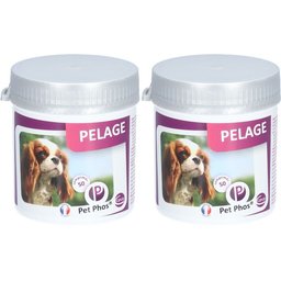 Pet Phos® Pelage chien