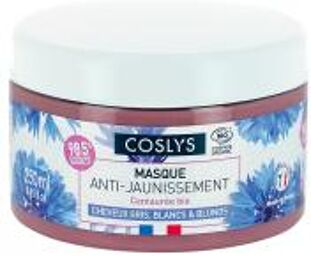 Masque Anti-Jaunissement Cheveux Gris Blancs et Blonds Bio 250 ml - Pot